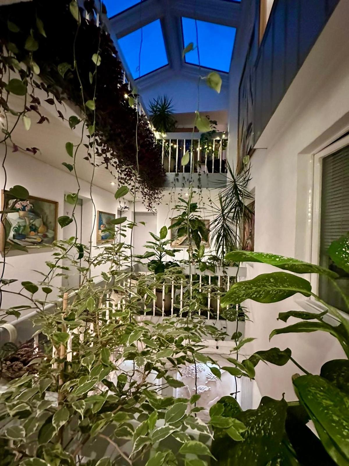 Villa Helvetia Targu Mures Ngoại thất bức ảnh