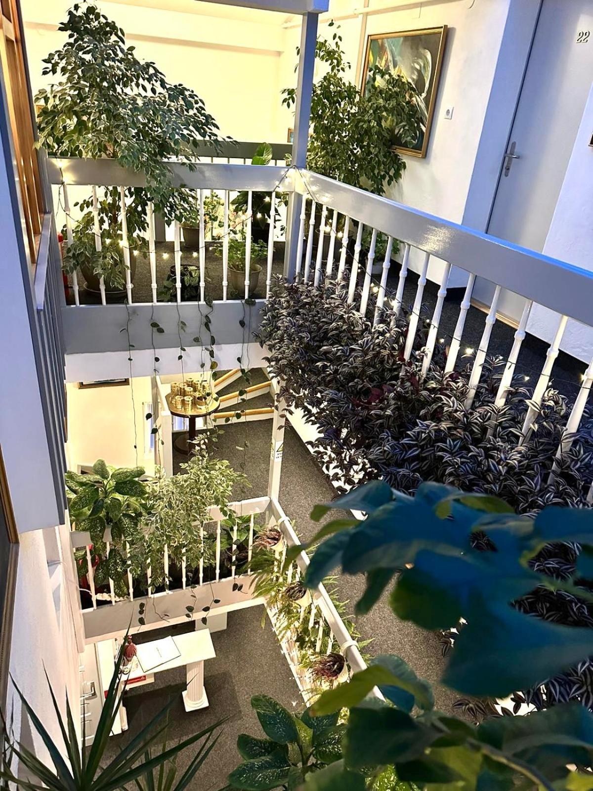 Villa Helvetia Targu Mures Ngoại thất bức ảnh
