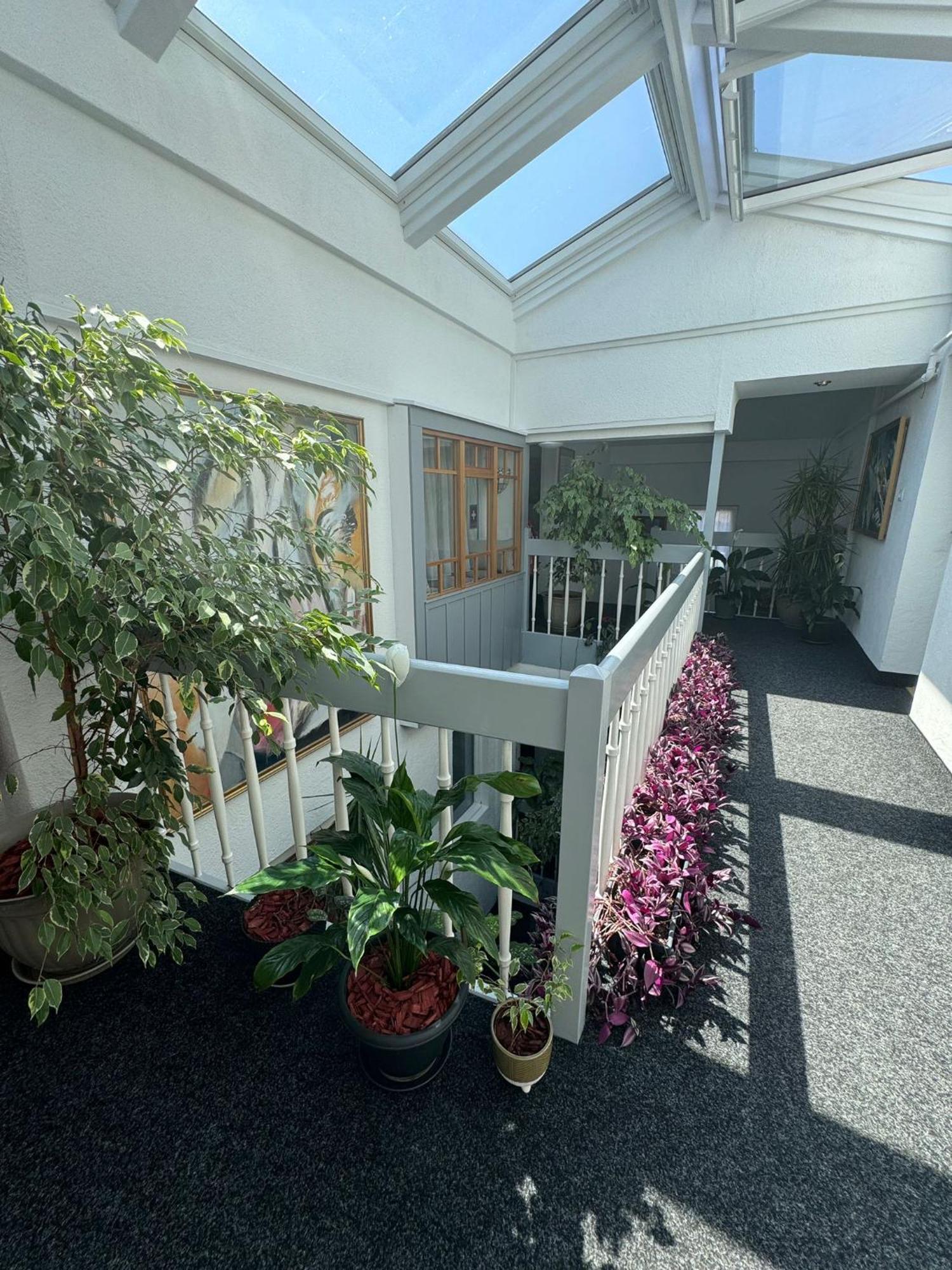 Villa Helvetia Targu Mures Ngoại thất bức ảnh