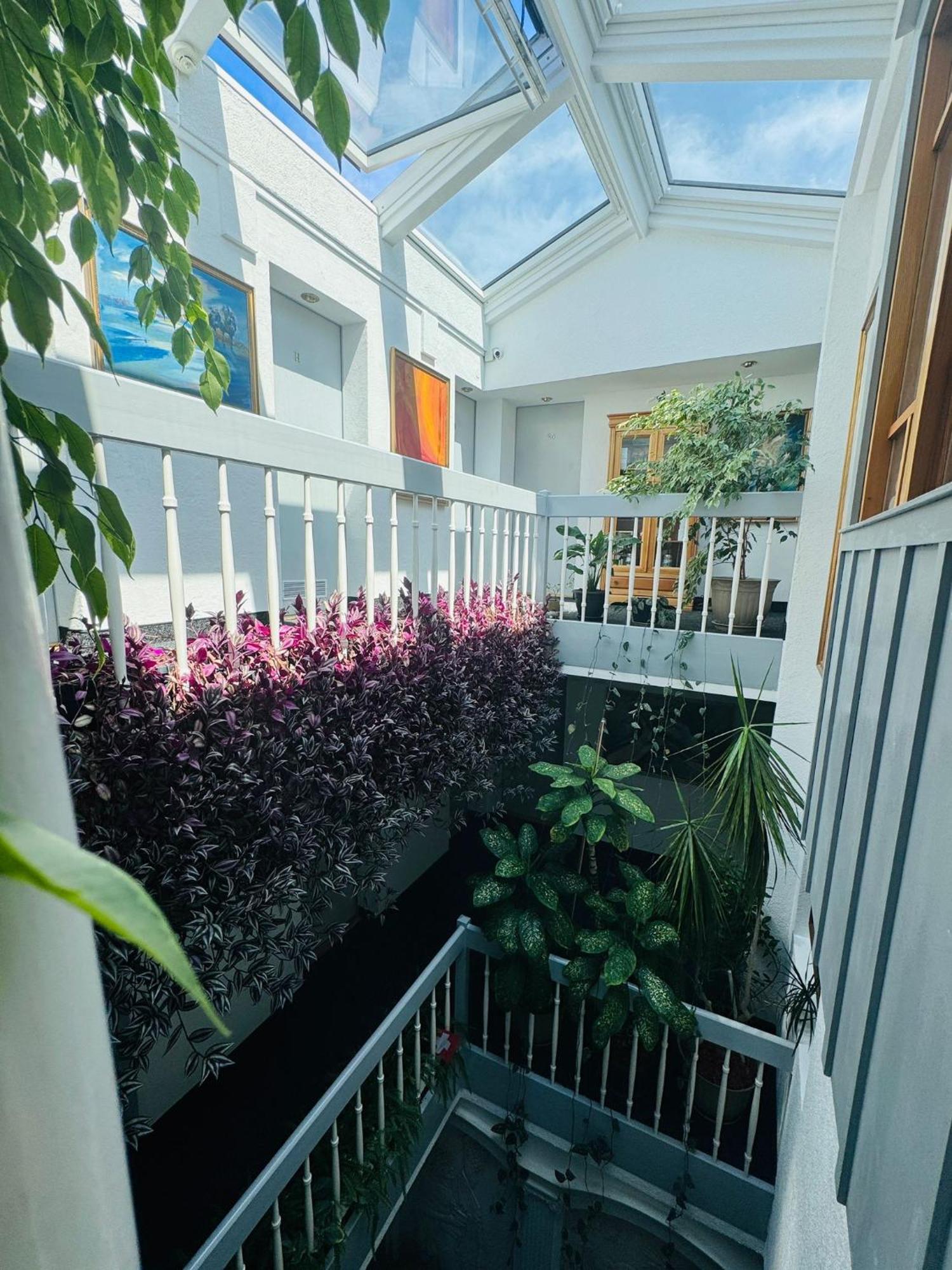 Villa Helvetia Targu Mures Ngoại thất bức ảnh