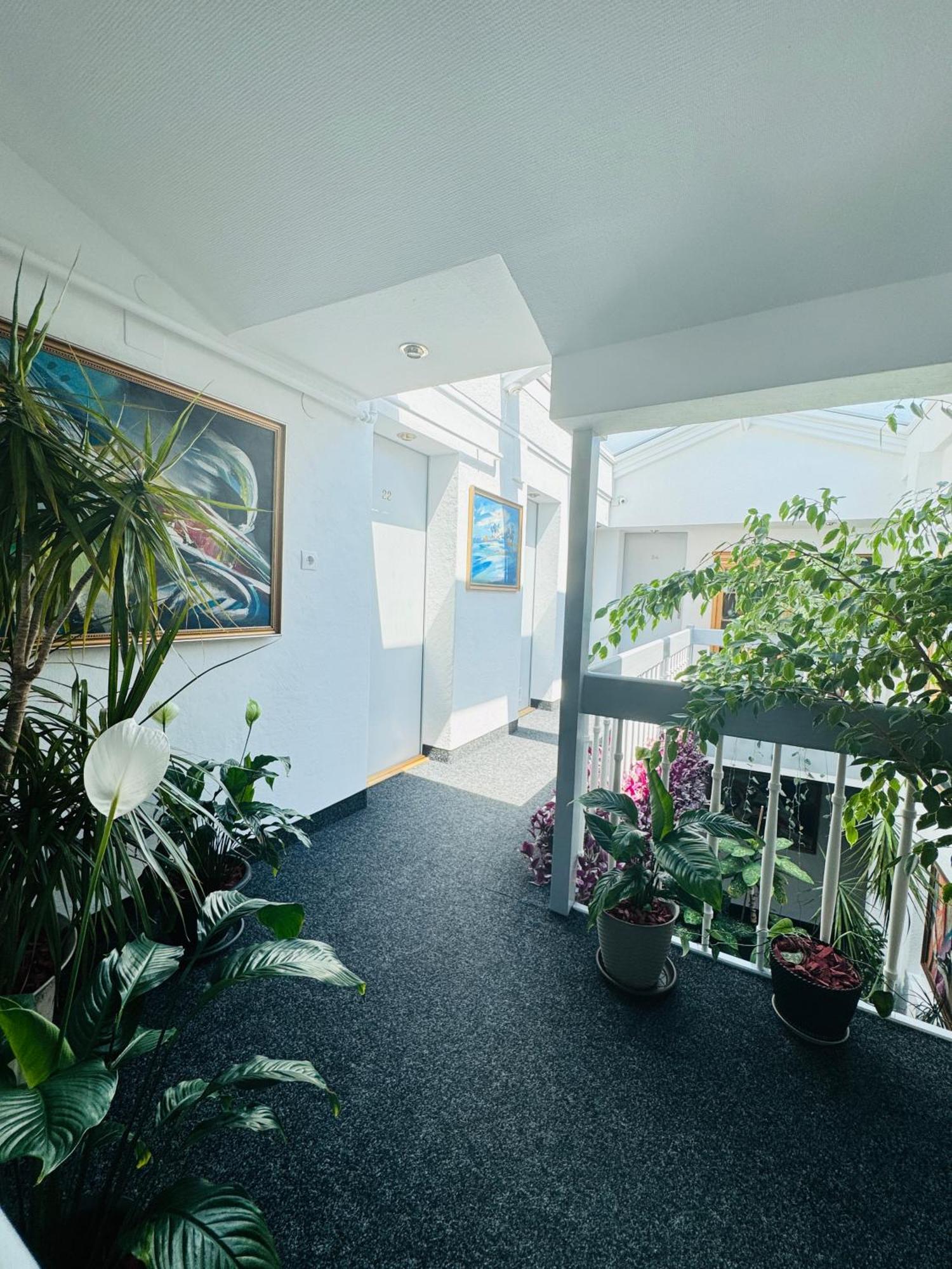 Villa Helvetia Targu Mures Ngoại thất bức ảnh