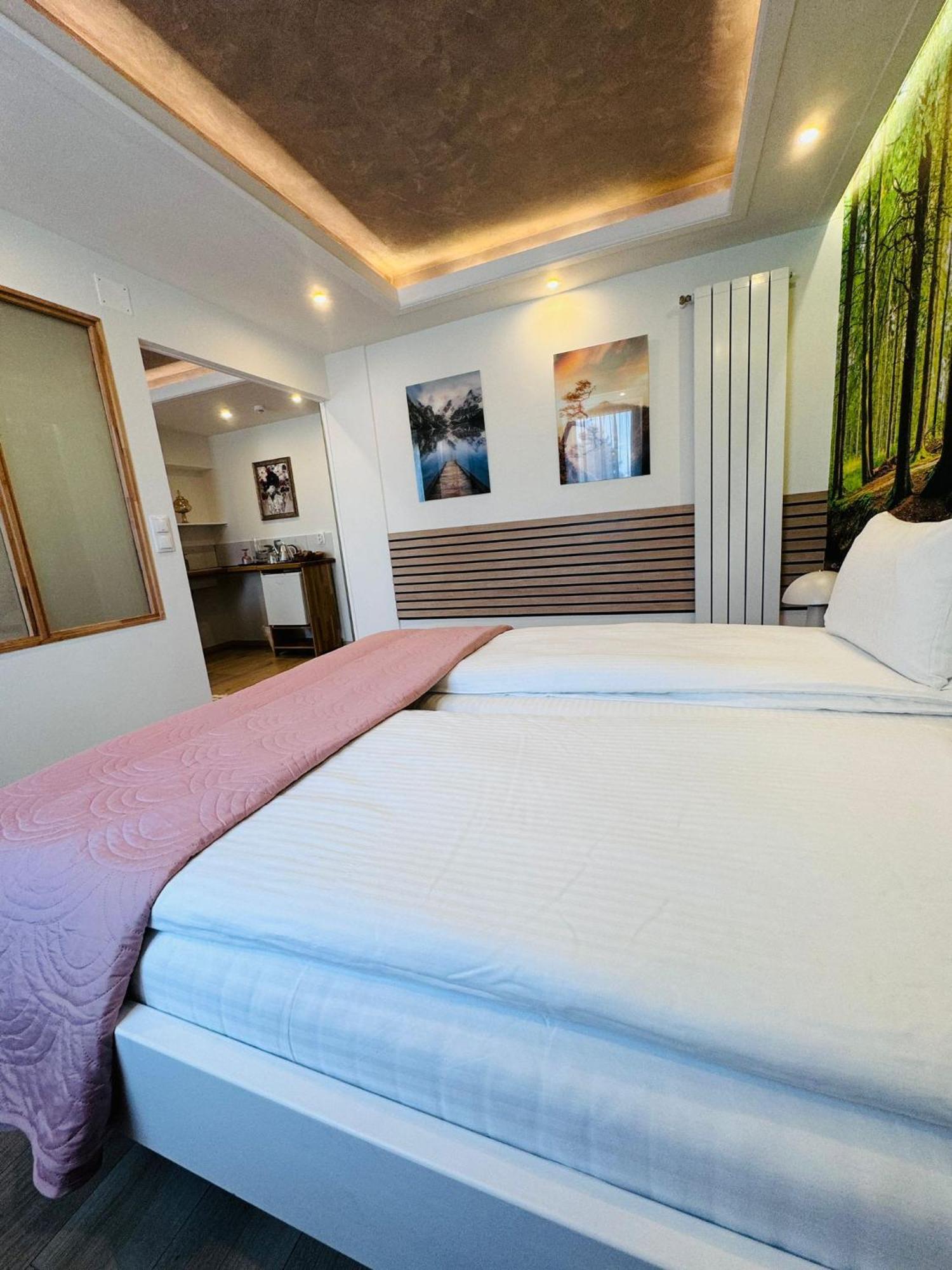 Villa Helvetia Targu Mures Ngoại thất bức ảnh